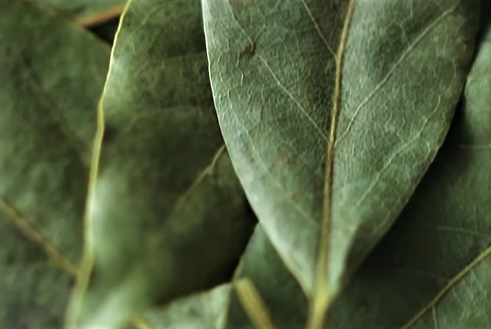 сухой лавровый лист