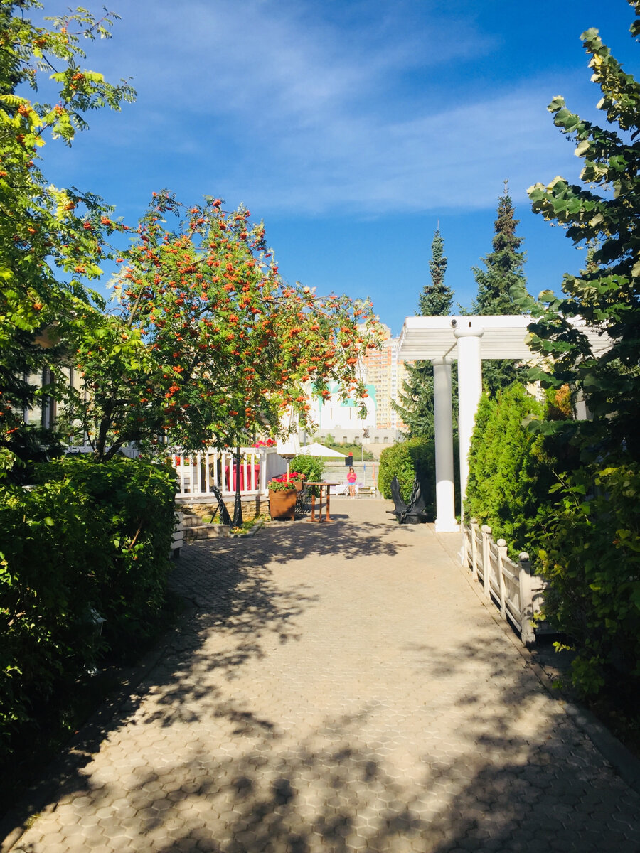 Фото сделано автором и принадлежит автору 