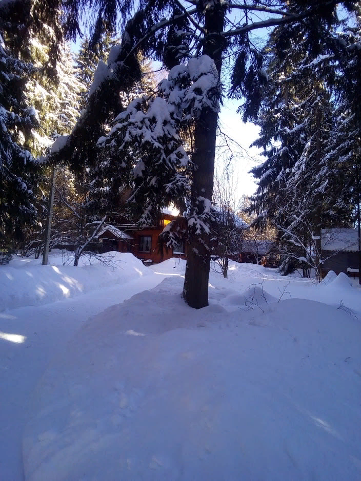 Зимой за городом особенно красиво...
