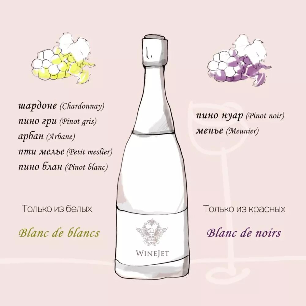 Сорта винограда: https://spbwj.ru/sorta-vinograda/7-sortov-vinograda-dlya-shampanskogo/