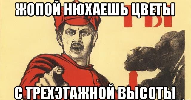 Ты жопа картинки