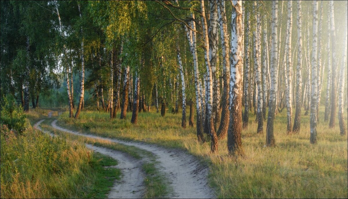 природа родного края