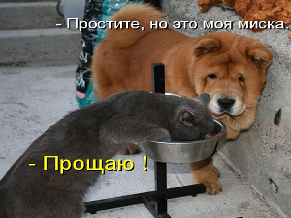 Мем с просторов.