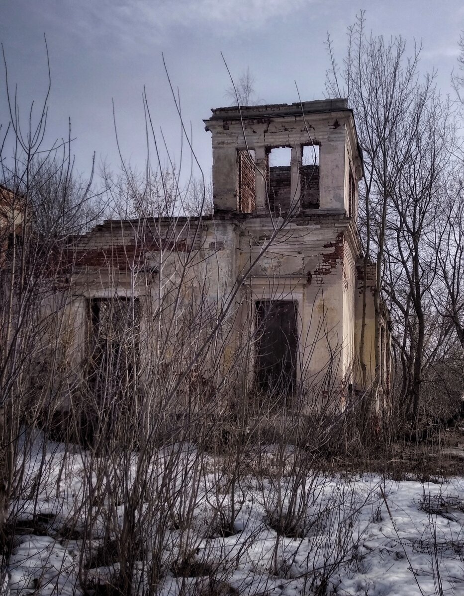 Усадьба Никитинского в Костино