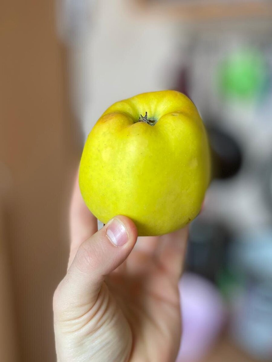 Яблоко - низкокалорийный продукт, помогает утолить чувство голода и не потолстеть.