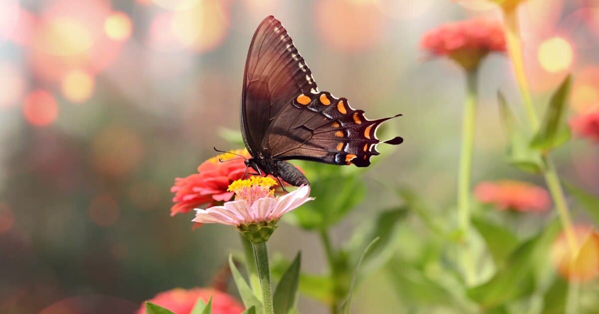 Фото: ru.freepik.com