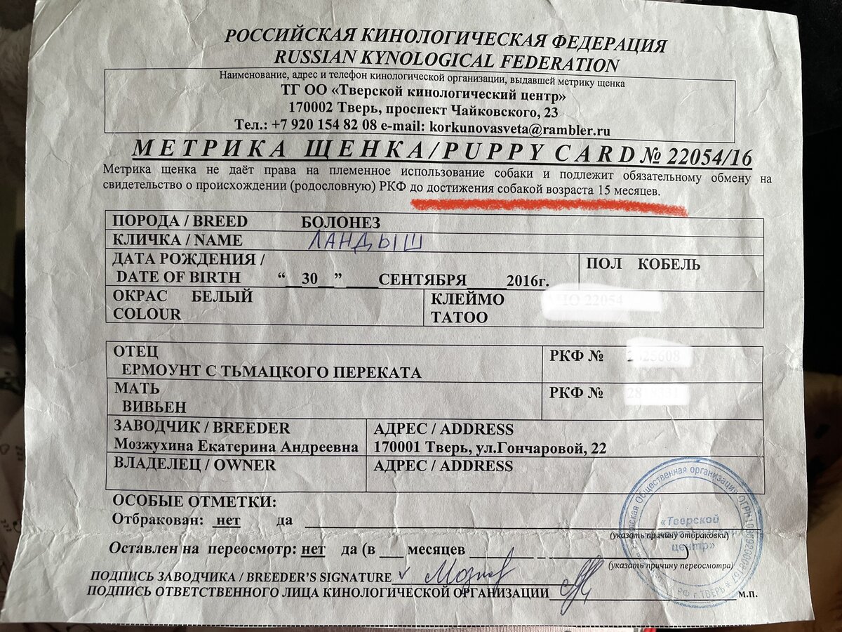 А оформлять-то нужно было 2 года назад...