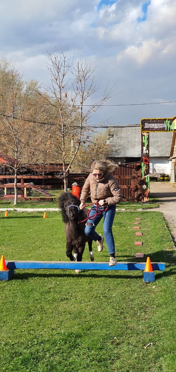 Я прыгаю выше пони) Это радует!