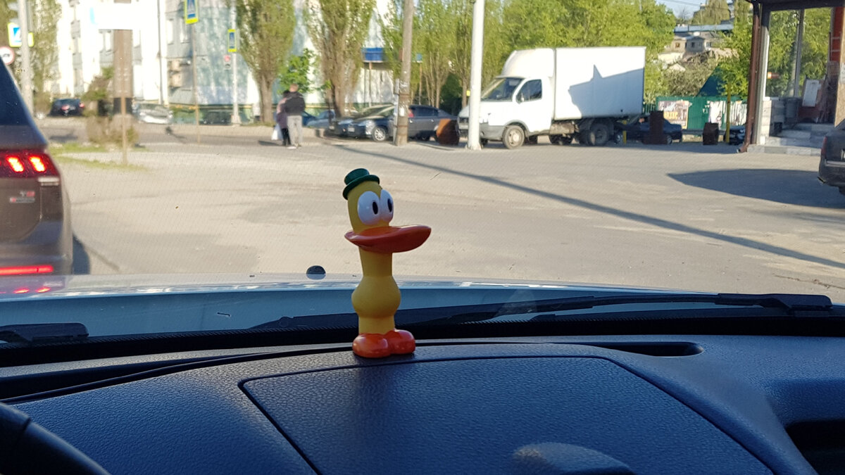 Мой Пато ))))