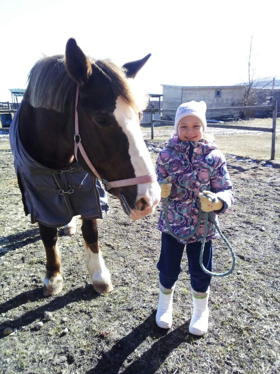 Дети и лошади -с какого возраста можно учиться ездить верхом | Природа  Рядом | Дзен