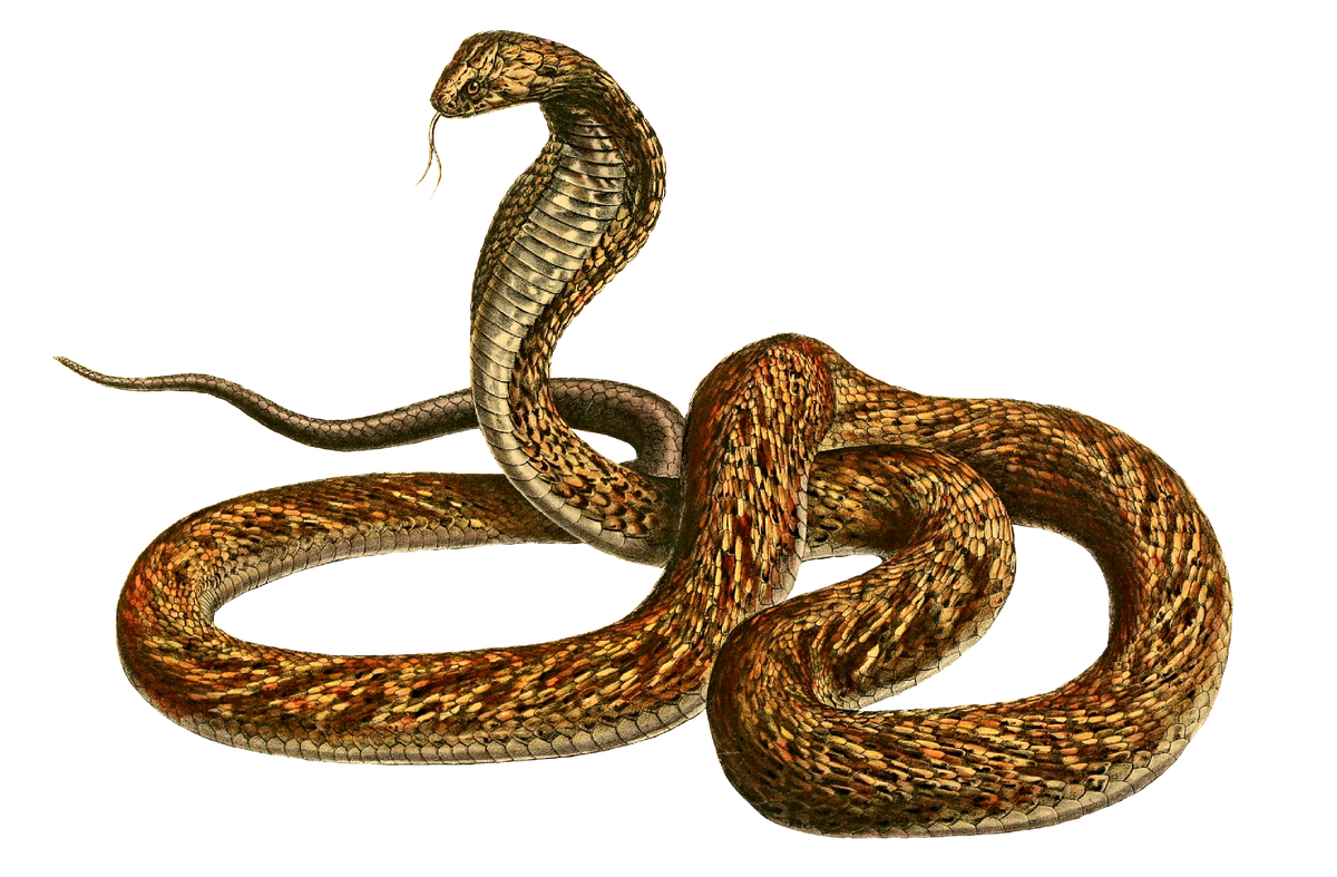 Одержим мыслью...