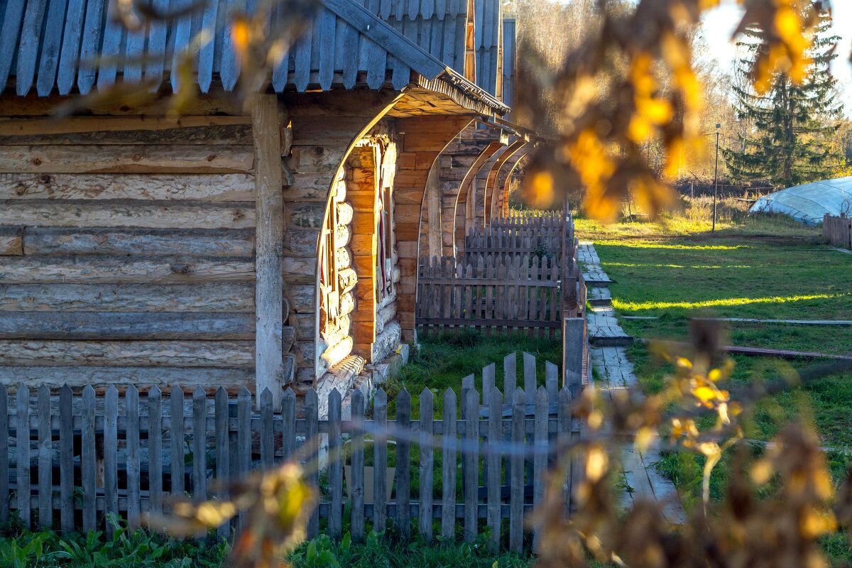 Охотничьи избы Новгородская область