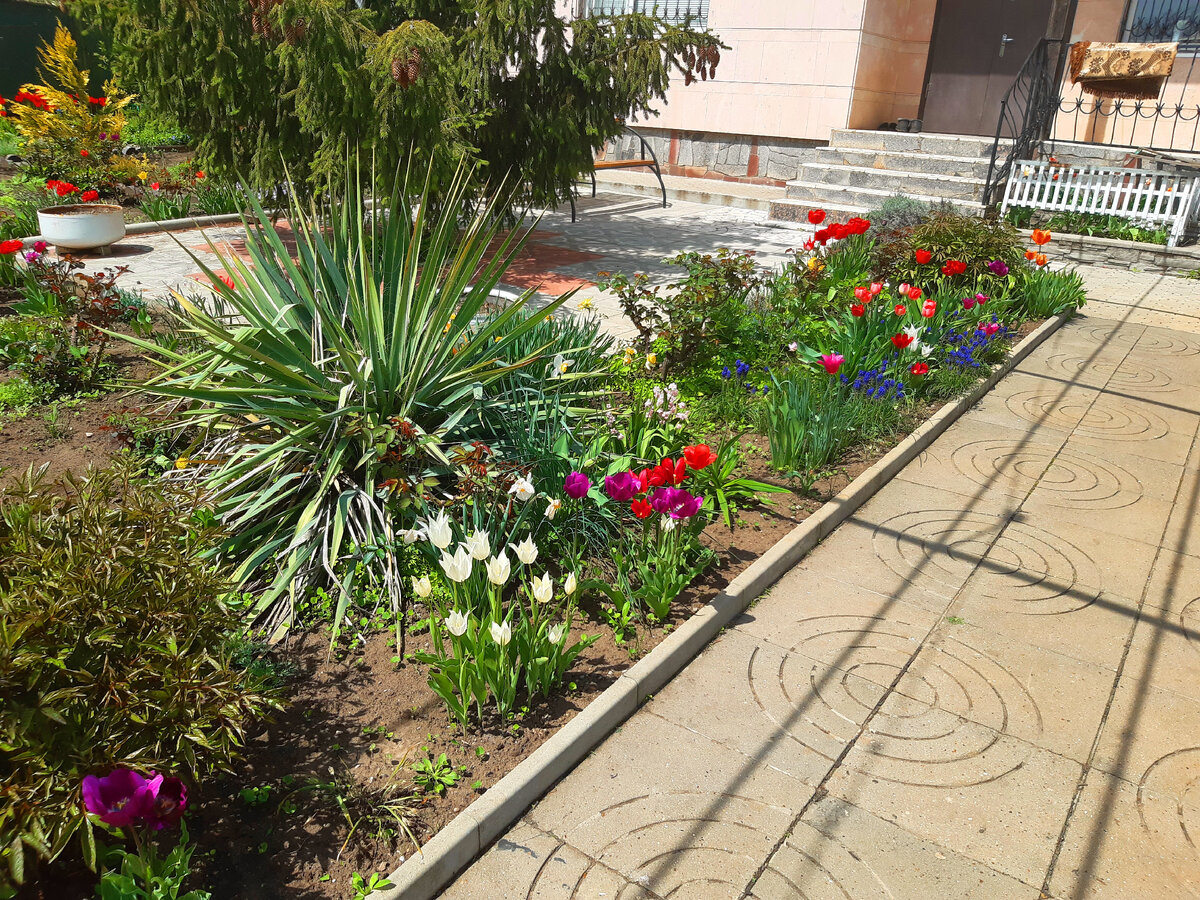 Наш сад, малая часть его, 2.05.2021 г.(фото автора)