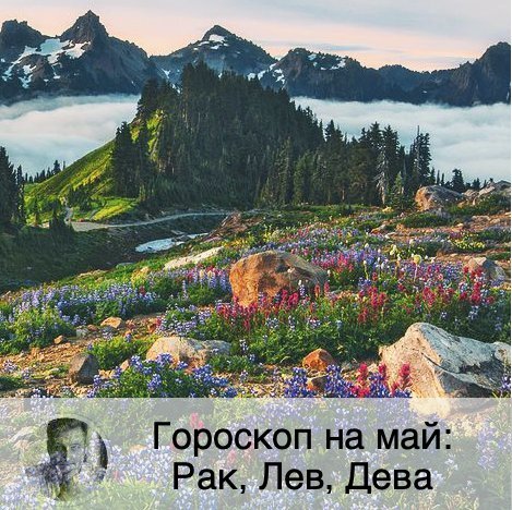 Подписывайтесь и ставьте 👍
Гороскоп для всех знаков зодиака можно посмотреть на моем сайте в разделе «Статьи». Чтобы узнать подробнее, что вас ждет, заказывайте личный прогноз по ссылке в описании профиля. 
🦀 Рак
❤️ Раки будут стремиться проводить время к компаниях, при этом предпочитая слушать, а не откровенничать. В мае в отношения может придти некая тайна, но постарайтесь не обманывать своего партнера и не становиться жертвой обмана.
💶 В мае Раки будут чувствовать себя комфортнее, работая в группе, что сулит успех в любом деле. При принятии решений лучше прислушиваться к своей интуиции, с течением времени вы увидите, что выбор был правильным.
🤒 Здоровье вас не подведет.

🦁 Лев
❤️ Львы в мае будут особенно нуждаться в признании и восхищении. У вас будет достаточно поклонников, но и вместе с тем - некая аура недоступности. Постарайтесь различать искренние проявления чувств и фальшь.
💶 В мае амбициозность Львов будет зашкаливать, что приведет к тому, что вам будет сложно работать, выполняя чьи-то задания. Постарайтесь найти себе такое занятие, где вы сами сможете управлять. Работа в группе будет вас притягивать, вы сможете отлично ею управлять.
🤒 В первой половине месяца могут возникнуть какие-то заболевания. А во второй - есть опасность травм.

💃🏻 Дева
❤️ Отношения с близкими людьми должны стать теплыми и доверительными. Вы будете склонны видеть в людях только хорошее, постарайтесь не обмануться. Возможен роман, который принесет вам выгоду, поможет в продвижении и достижении желаемого. Семейным Девам рекомендуется обращать больше внимание на семью.
💶 Девы в мае захотят изучить какую-то новую для себя сферу. Вы можете задуматься о новом направлении бизнеса, найти второй источник дохода или сменить сферу деятельности. Вашей целью будет повышение социального статуса и увеличение дохода. Для достижение этих целей вы будете на полную использовать свое очарование.
🤒 Возможны мелкие проблемы со здоровьем.