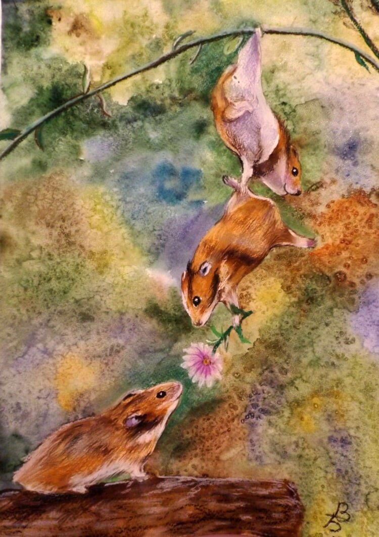 Автор Виктория Кошурникова