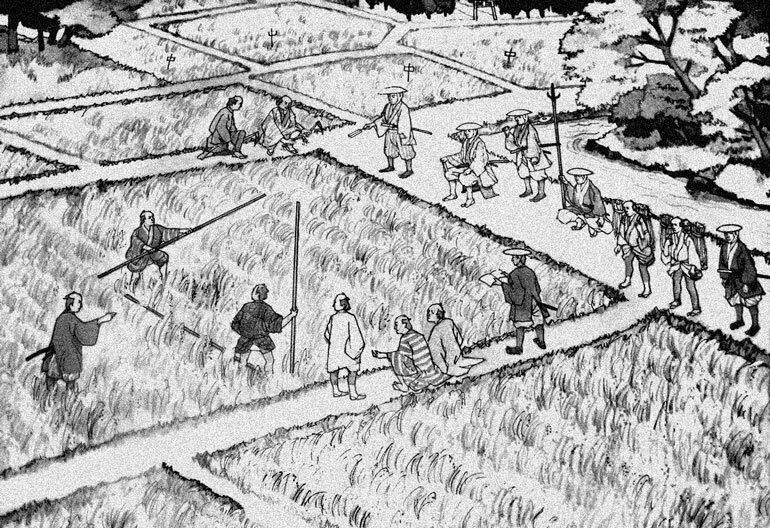 Краткая история | Как в древней японии выращивали рис