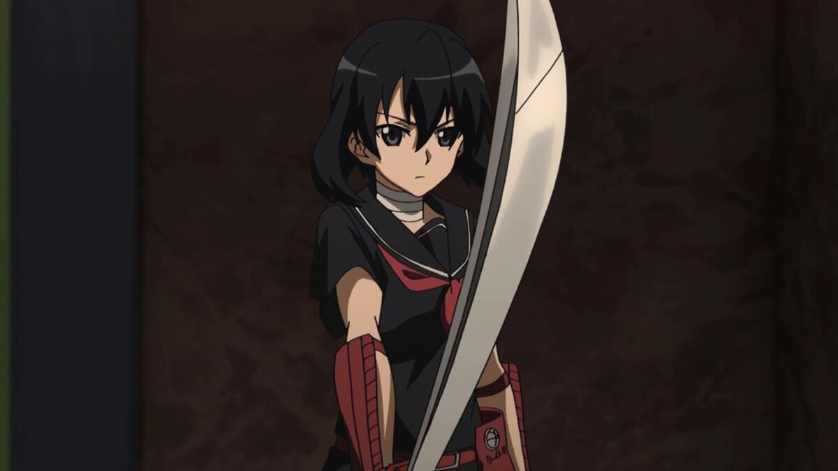 Аниме Убийца Акамэ