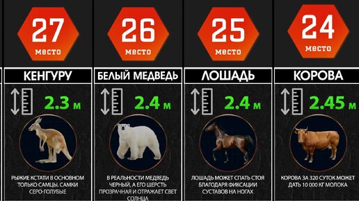 Какой размер полового члена у мужчин считается нормой - 21 марта - ру