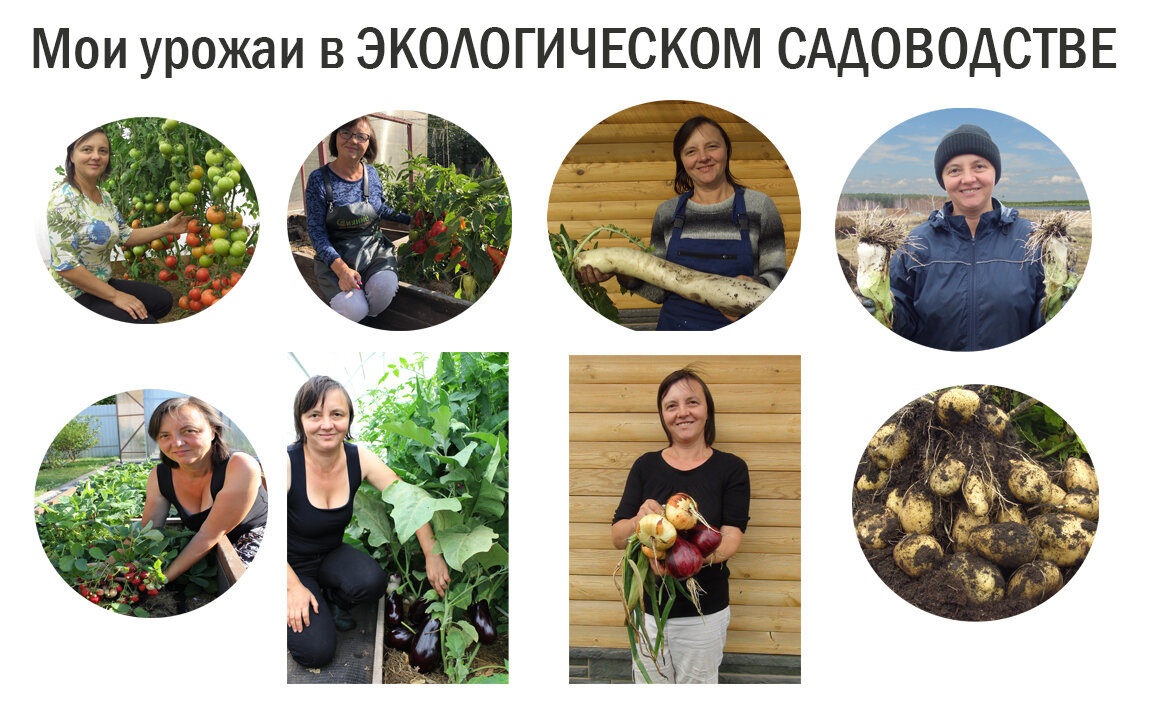 все это выращено без минеральных удобрений и ядохимикатов