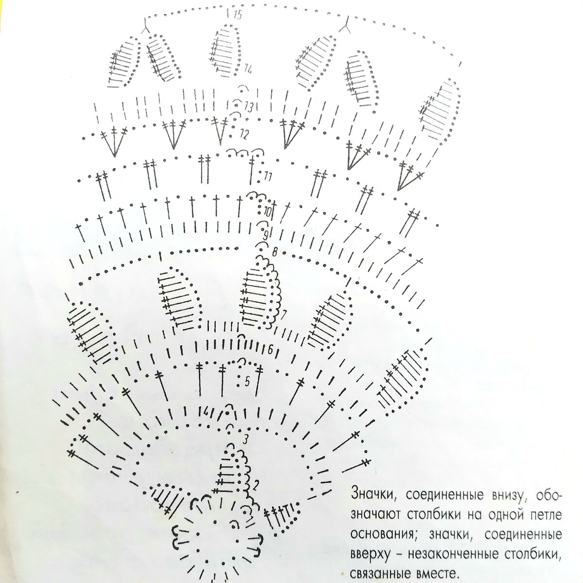 Кувшинка схема