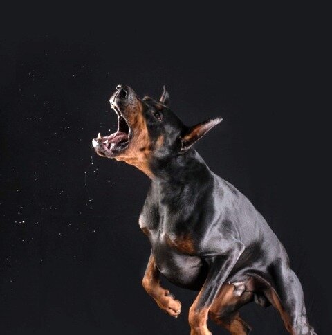 картинка из интернета