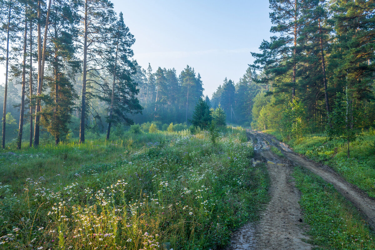 Фото уральского лета