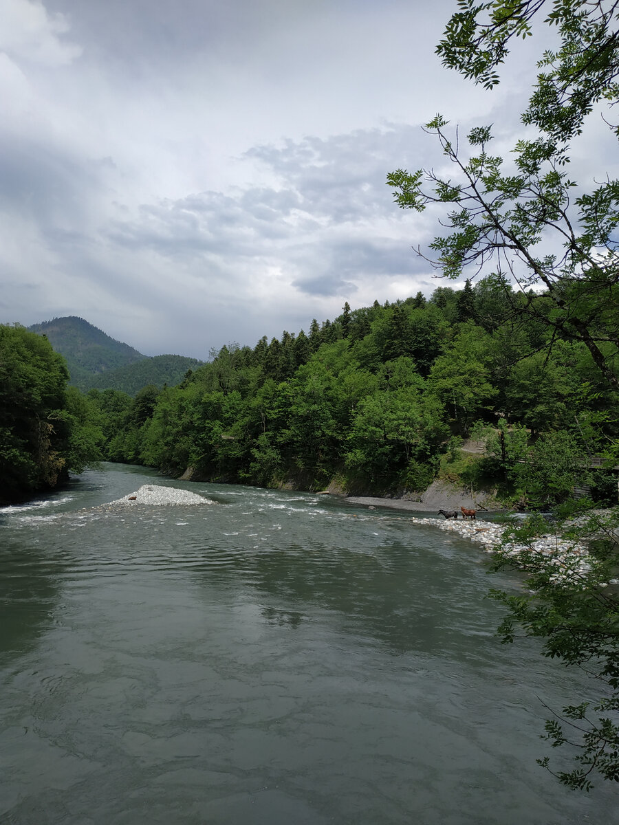 Река Белая. Фото автора