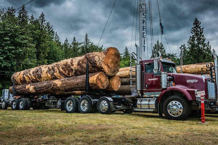 Экологические проблемы россии. Dump logs. Troika dumper. Dump logs. Свалка бревен.