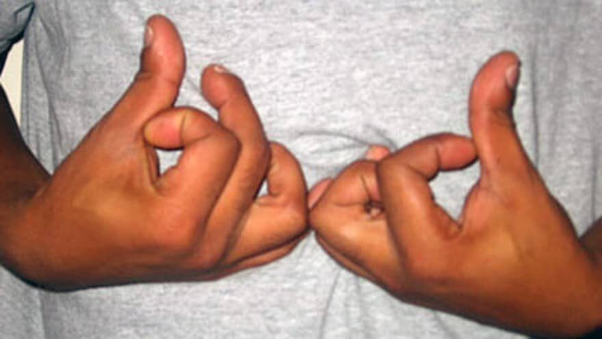 Размер пениса влияет на длину пальцев на руках