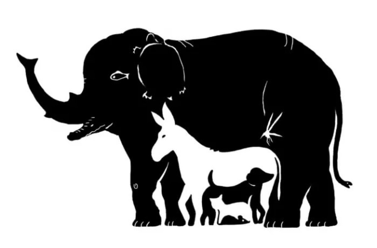  Картинка открытых источников 