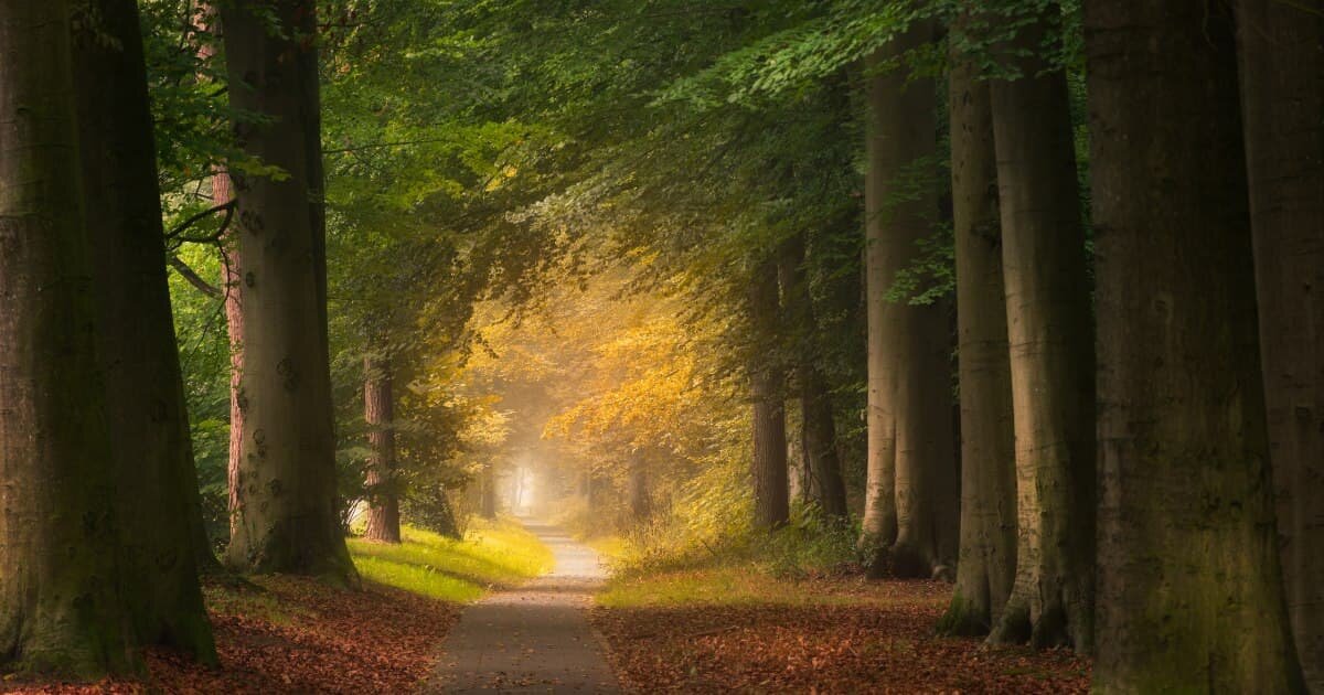 Фото: ru.freepik.com