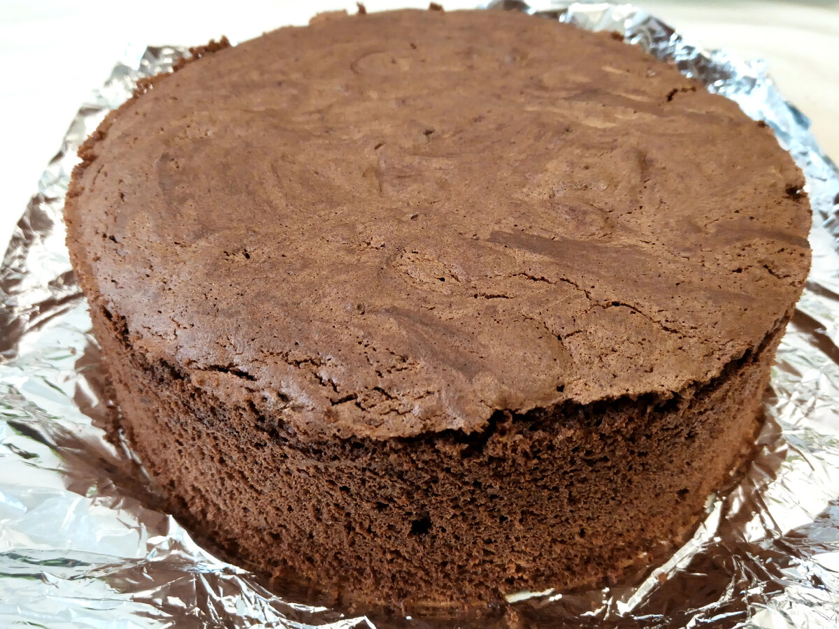 шоколадный бисквит