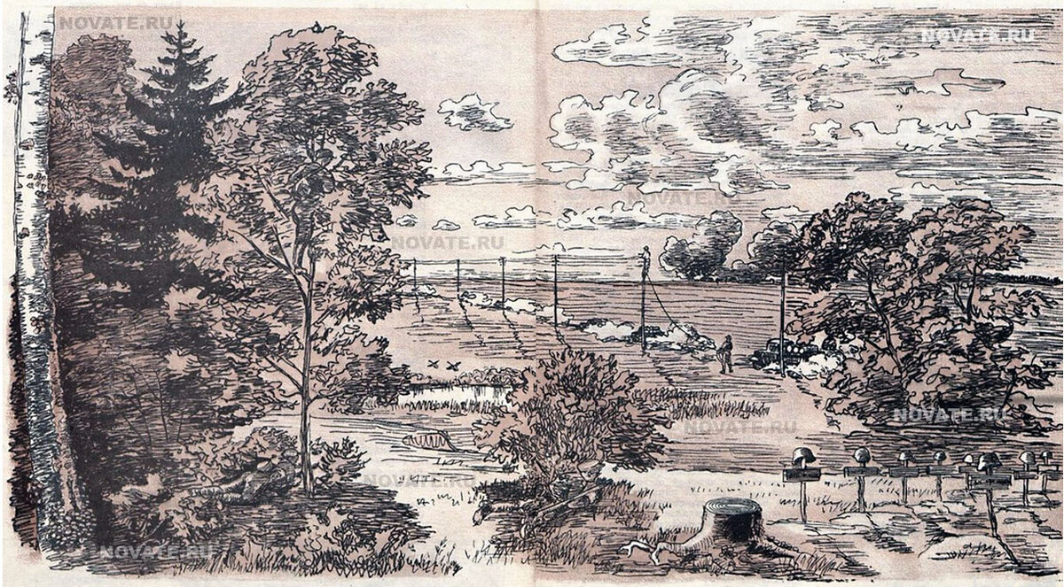 Посмотри на картинку и по ней ответить на все вопросы ниже. Фото: Novate.ru