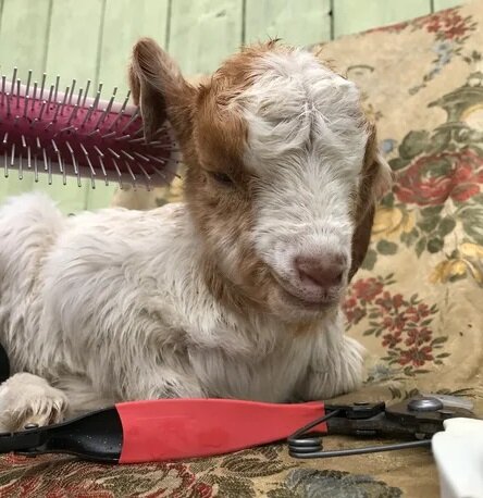 К тоталитаризму отношения не имею. А в парикмахерской. 