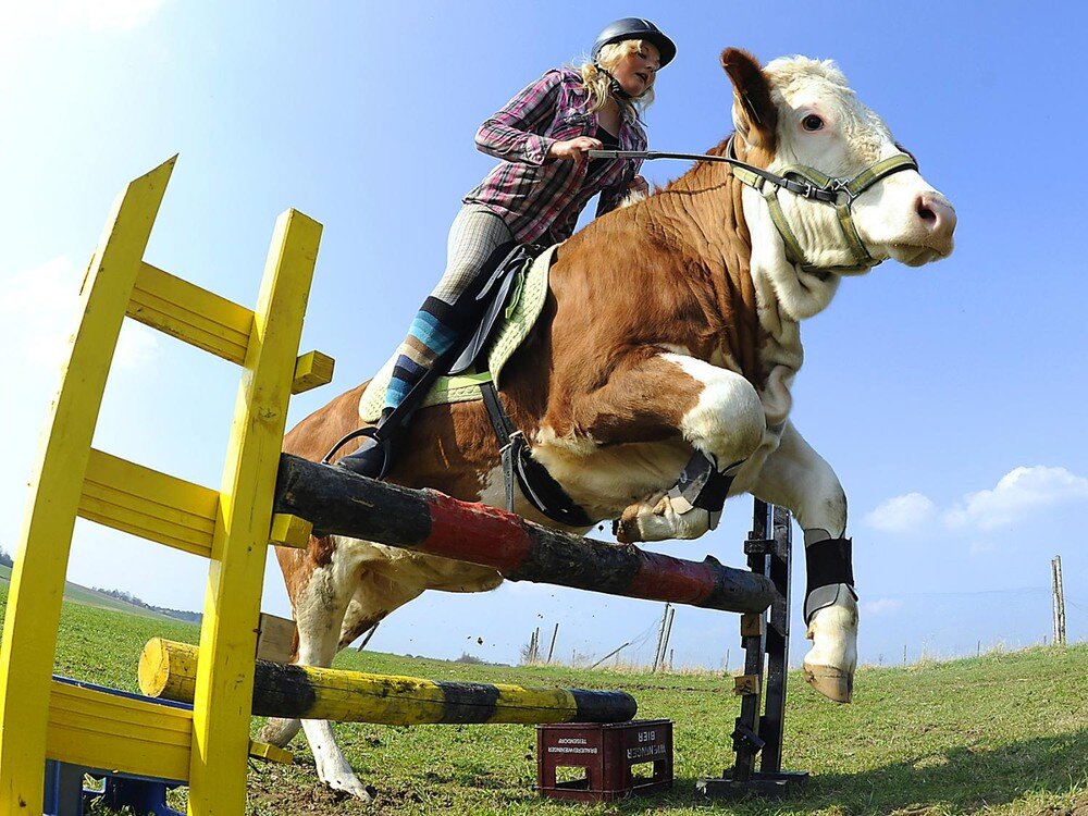 Фото: moscow-oblast.sm-news.ru