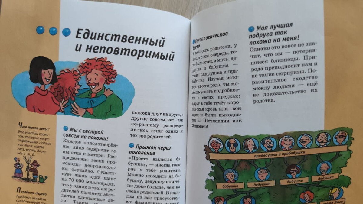 Разворот с генами из второй книги. Спокойно рассказано о том, почему люди похожи или не похожи друг на друга. По пути обсудили что у нее и братика похоже на папу, а что на маму