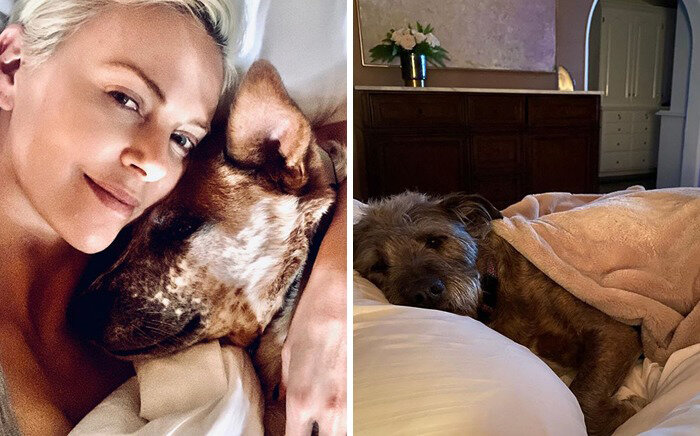 Шарлиз Терон, Джонни Юта, Беркли.