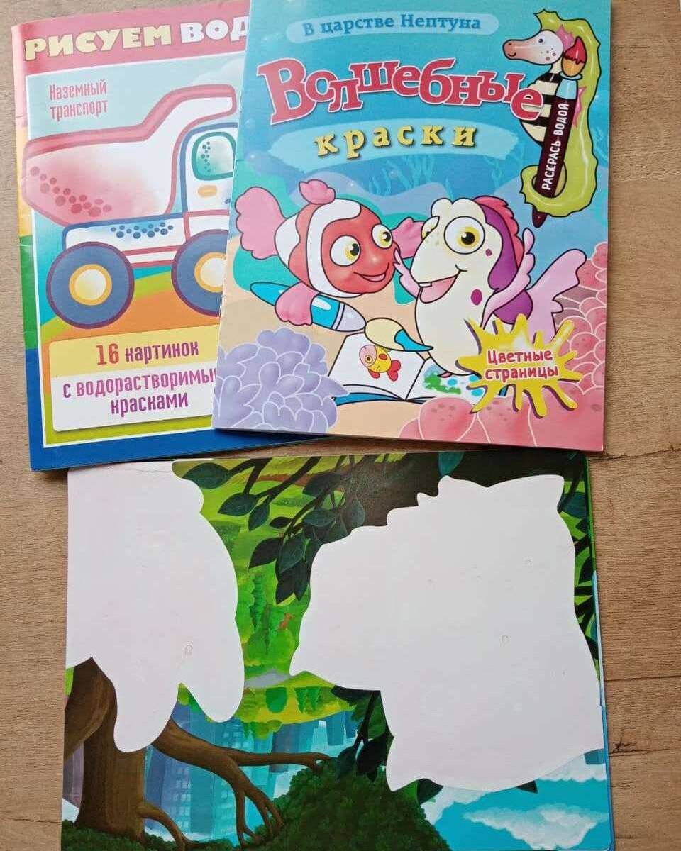 вот эти раскраски  я купила 