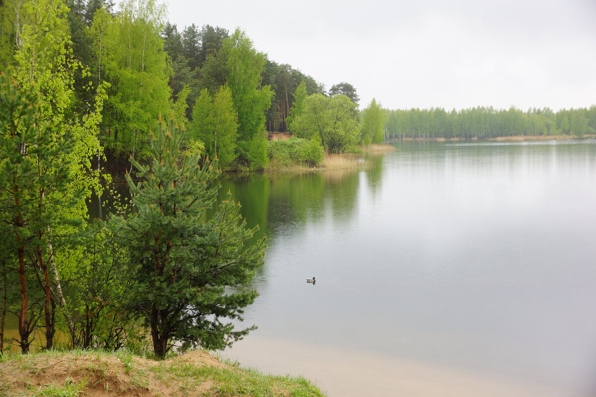 Озеро Прусовское (ЯрБайкал), Ярославская область