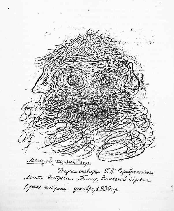 Рисунок свидетеля.