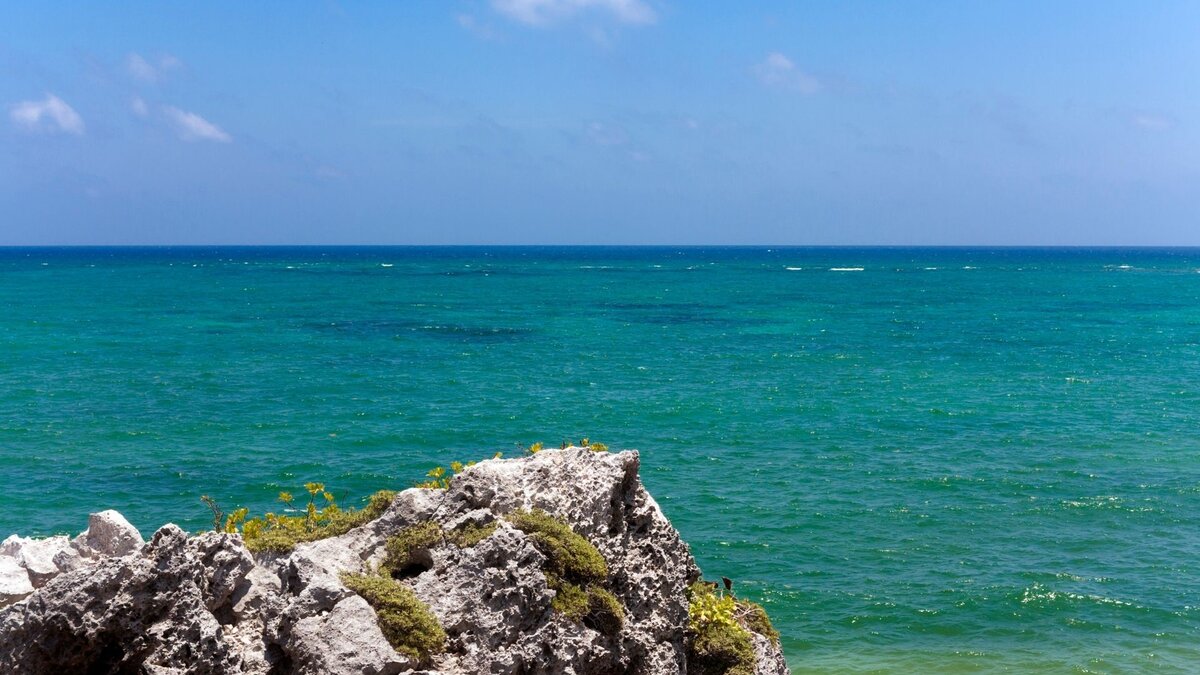 Пляжные побережья Мексики. Что нужно знать о водорослях на местных пляжах