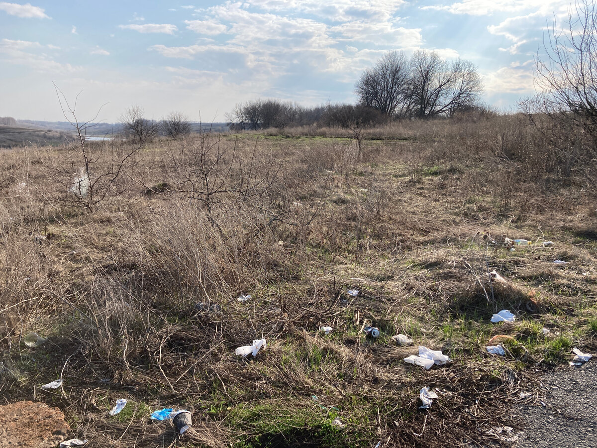 Липецкая область