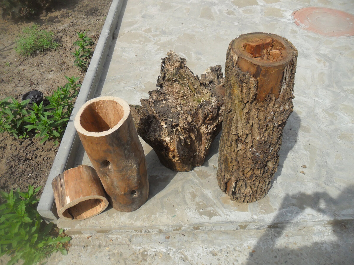 Бывший валежник.