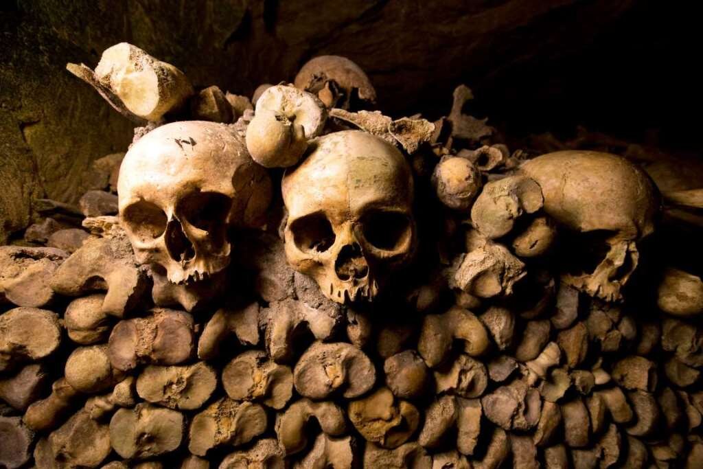 Фото из открытого источника