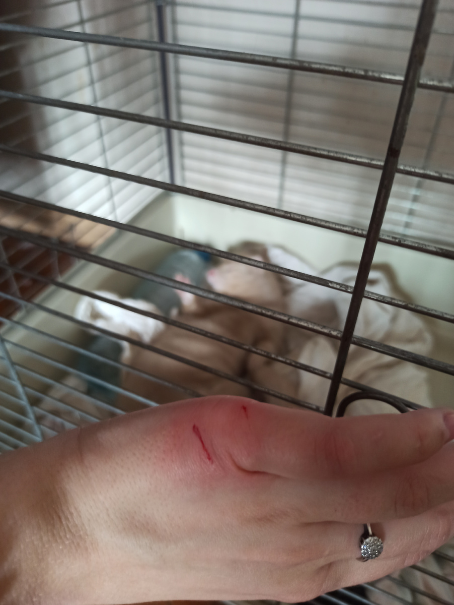 С чувством выполненного долга теперь можно и поспать.