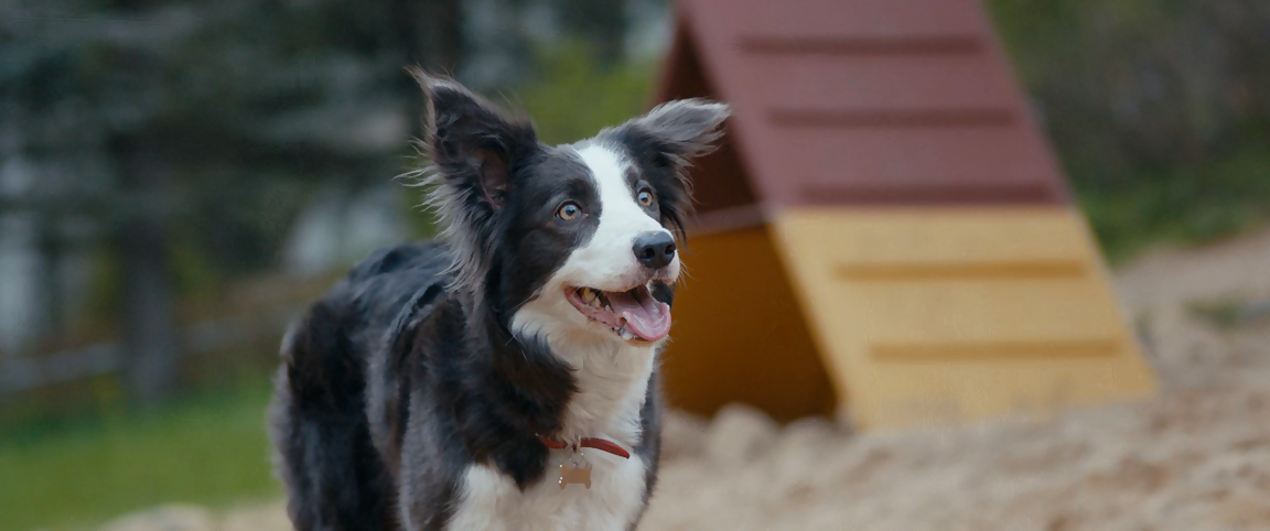 Кадр из фильма "Ёлки лохматые", 2014 год, режиссер: Максим Свешников