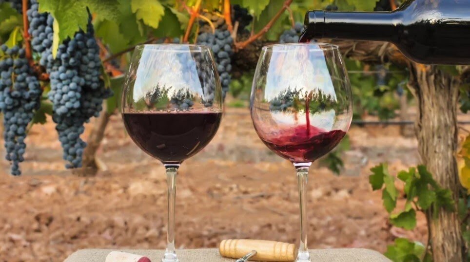 Красные сухие итальянские вина Barolo. Ascheri категории DOCG из Пьемонта