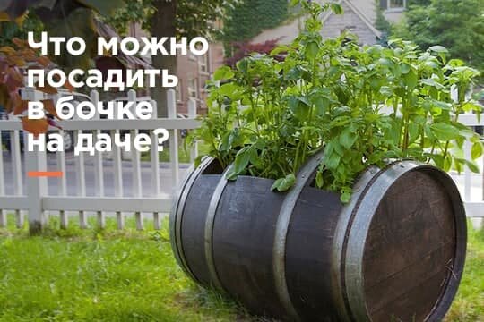 Сбор дождевой воды на даче? По силам нам эта задача!