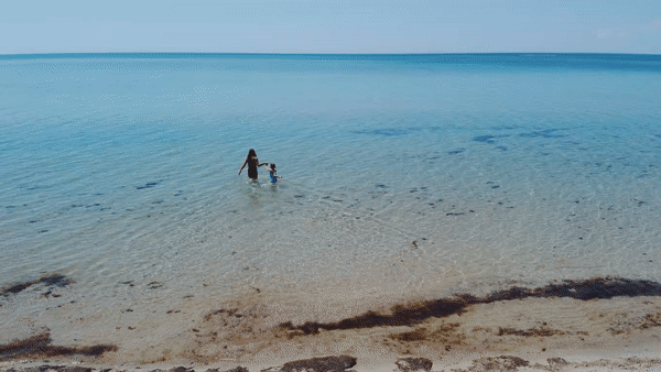 Чистое Черное море