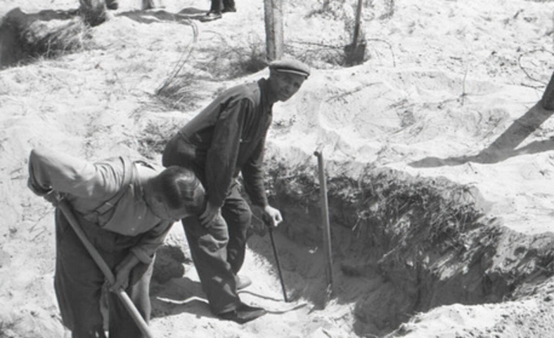 53-летний Пит смотрит прямо на снимающего / nos.nl